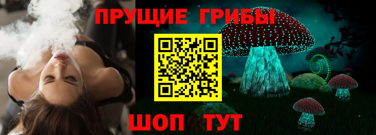 Свободный  Псилоцибиновые грибы прущие грибы  Вход с VPN 