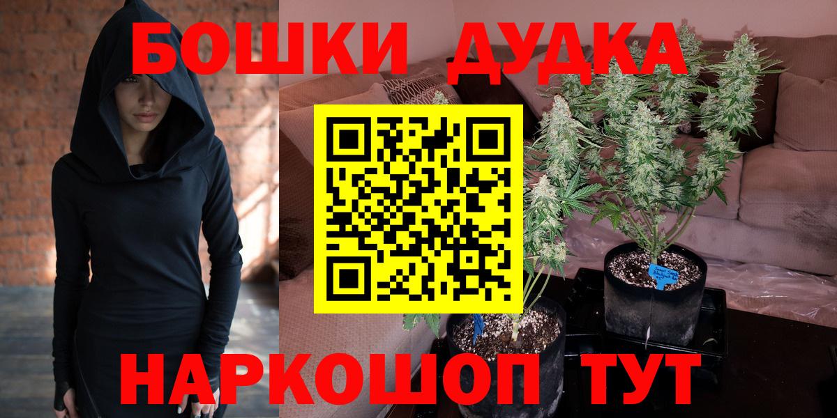 Каннабис Amnesia Свободный